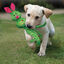 Kong Wubba Ballistic Friends juguete para perros, , large indicador imagen numero 4